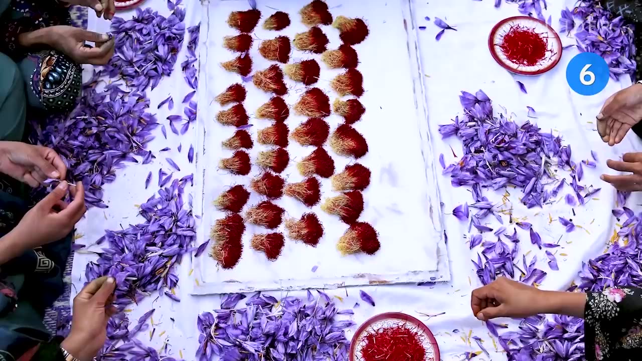 18 Extremely Rare Foods To Eat In Your Lifetime _ Ultimate List