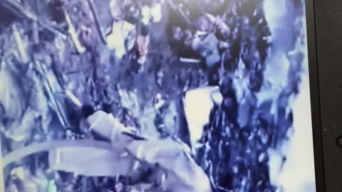 Rumble in this jungle