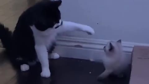 Lucifer one year ago vs Lucifer now