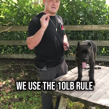 Top 3 Ways to Tell How Big Your Puppy Will Get