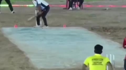 Cricket status