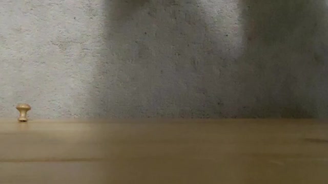 Cool magic trick