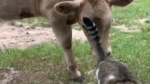 What you say about this