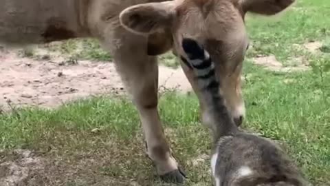 What you say about this