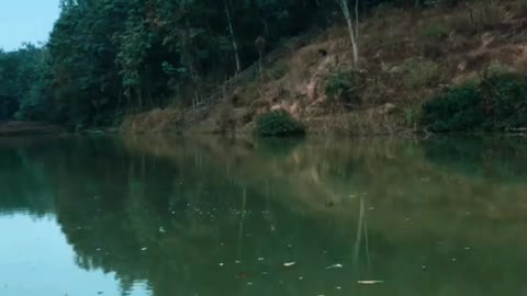 Amazing Fishing Lures