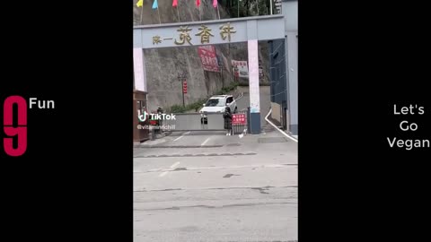 Best Funny Videos Compilation, Try Not To Laugh