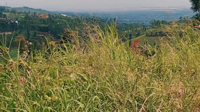 the natural charm of the cool mountains