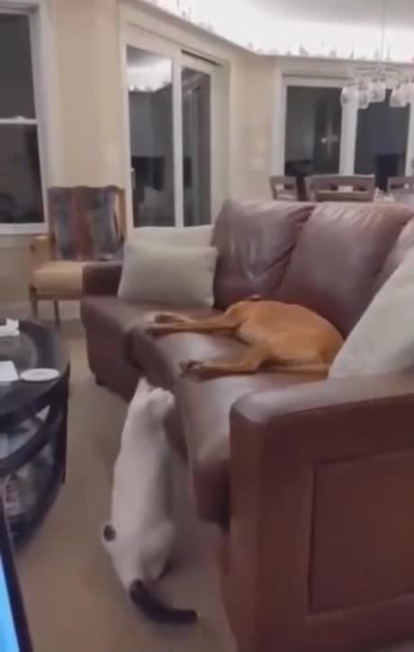 wake up, i want to play