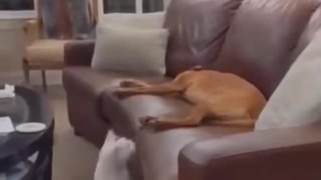 wake up, i want to play