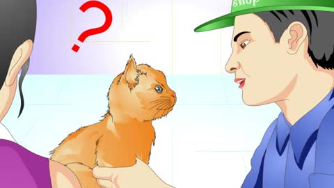Tell if a Cat Is Spayed