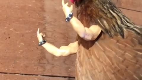 Funny Video