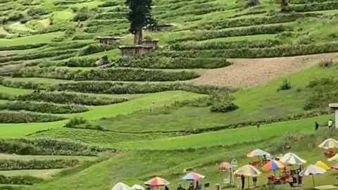 Pakistani Land Beauty.