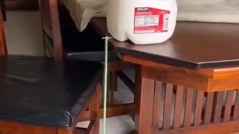 A Simple Lesson In Physics By Using Toothpicks...👀