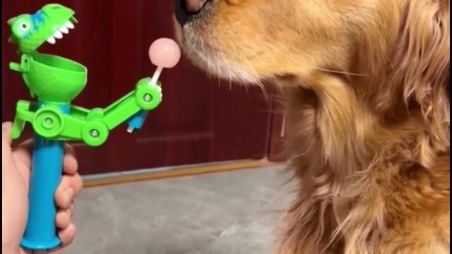 Try not to laugh!!!!!!