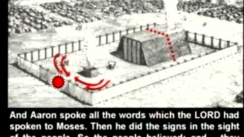 3. Israel in the Sanctuary - Mark Woodman; God's Temple of Truth