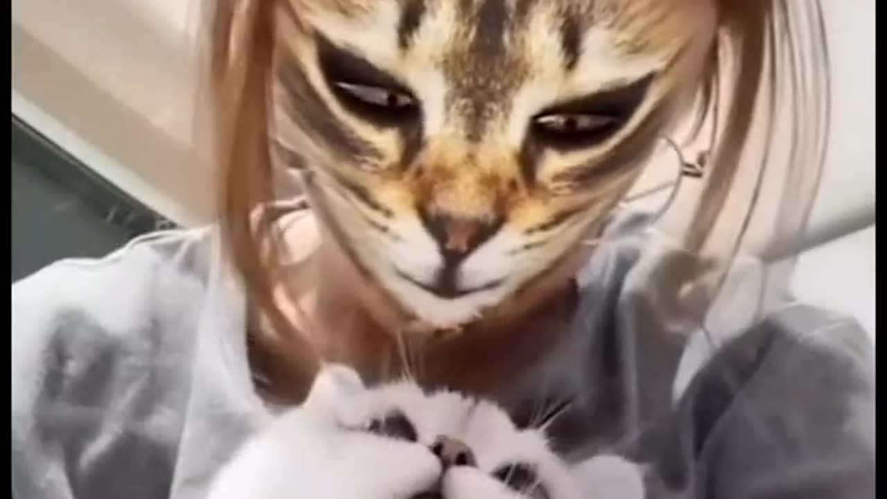 Cats Reaction 😹