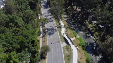 Cyclists going through an avenue