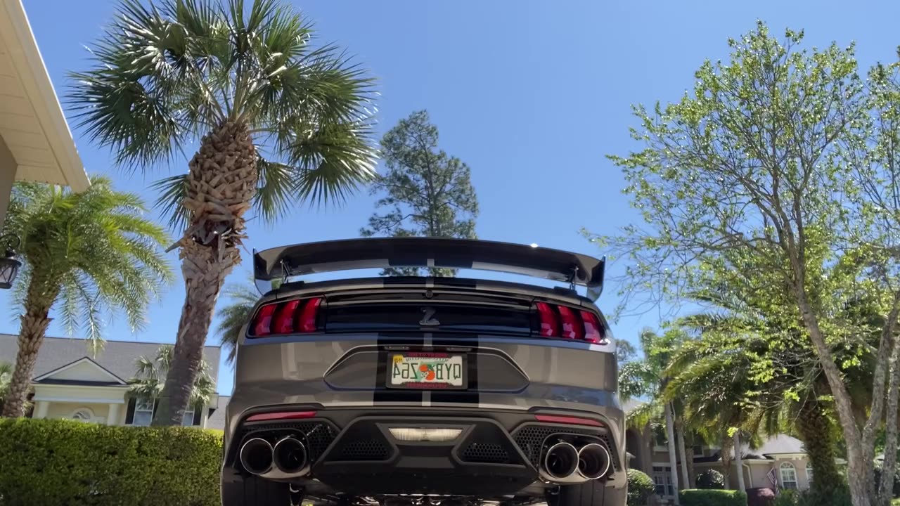 2021 GT 500 Shelby Borla
