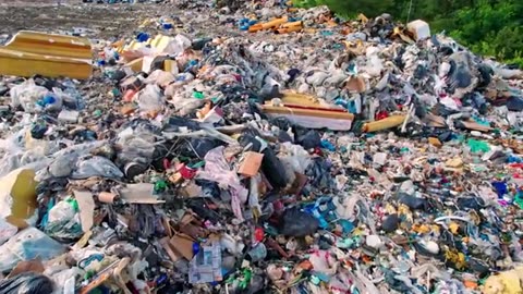 We're Giving Away $30 Million in Free Food