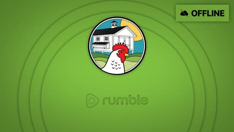 Video Chicken Live: Get the Skinny on Chicken Feed