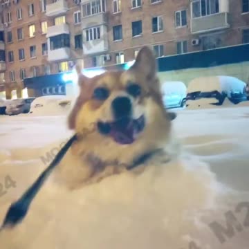 We all should be this happy and positive 😊