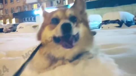 We all should be this happy and positive 😊