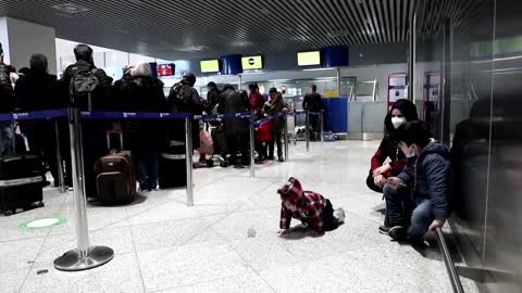 Displaced Afghans off to a new life in Australia