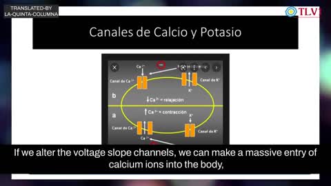 PART 2: Dr Enrique Luis Farracani Ristenpart confirms the findings of La Quinta Columna.