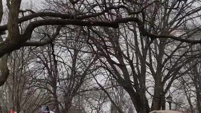 Freedom rally Toronto - 1