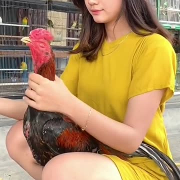 Beautiful Girl Who Loves Animals