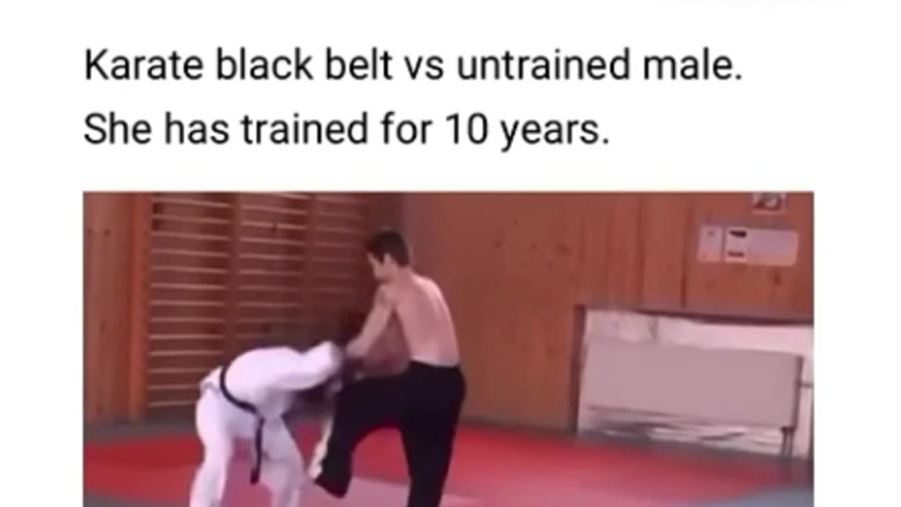 McDojo Tales 2024