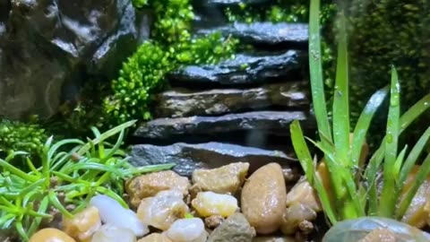 Making a mini garden 👨‍🌾✂️🌳