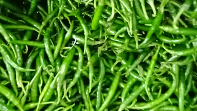 How to pack green chillies for export line #green_chilli