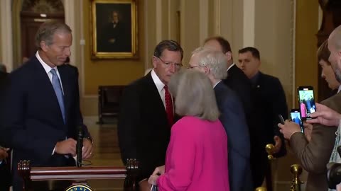 Mitch McConnell Suffers Health Episode While Speaking To Cameras (VIDEO)