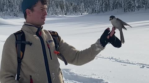 Snowshoeing and Catching Birds!