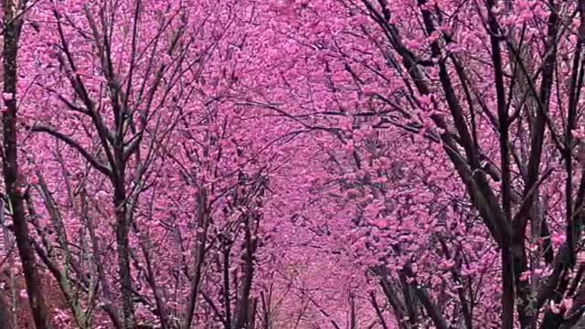 Life is neither long nor short, just enough to take a good look at the world