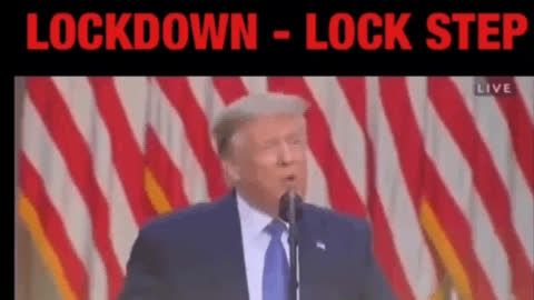 LOCKDOWN LOCKSTEP : COPRIFUOCO