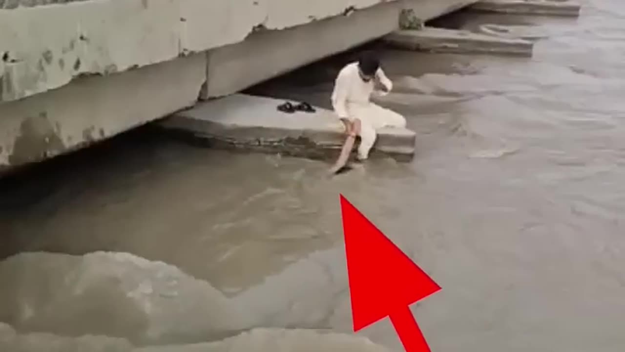 Wawooo intra sting video