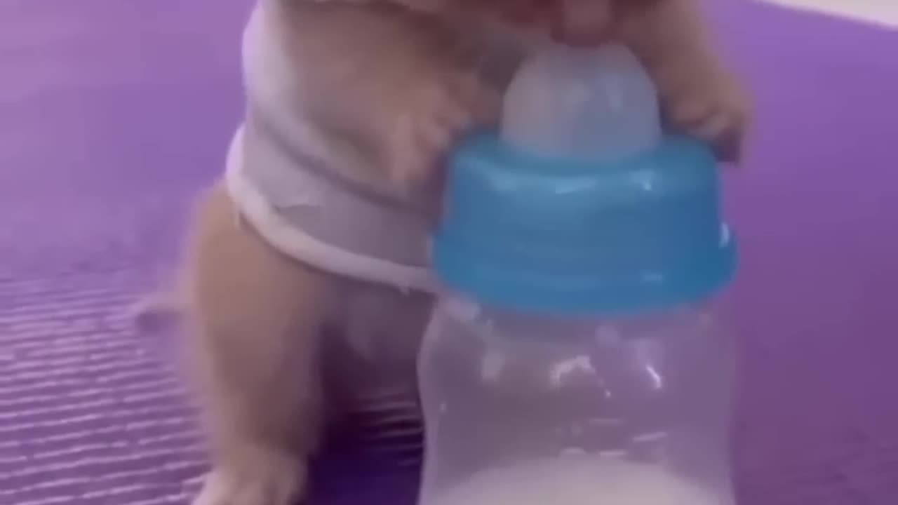 Baby"cute short video