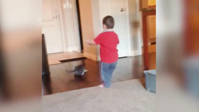 funny boy and cat play.