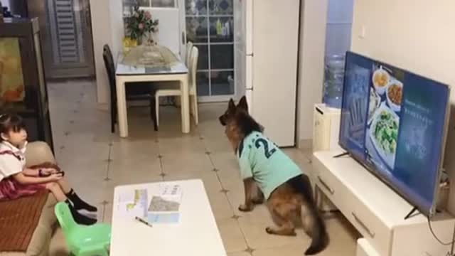 Smart Dog