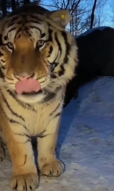 Oh hello there 😊😊👍