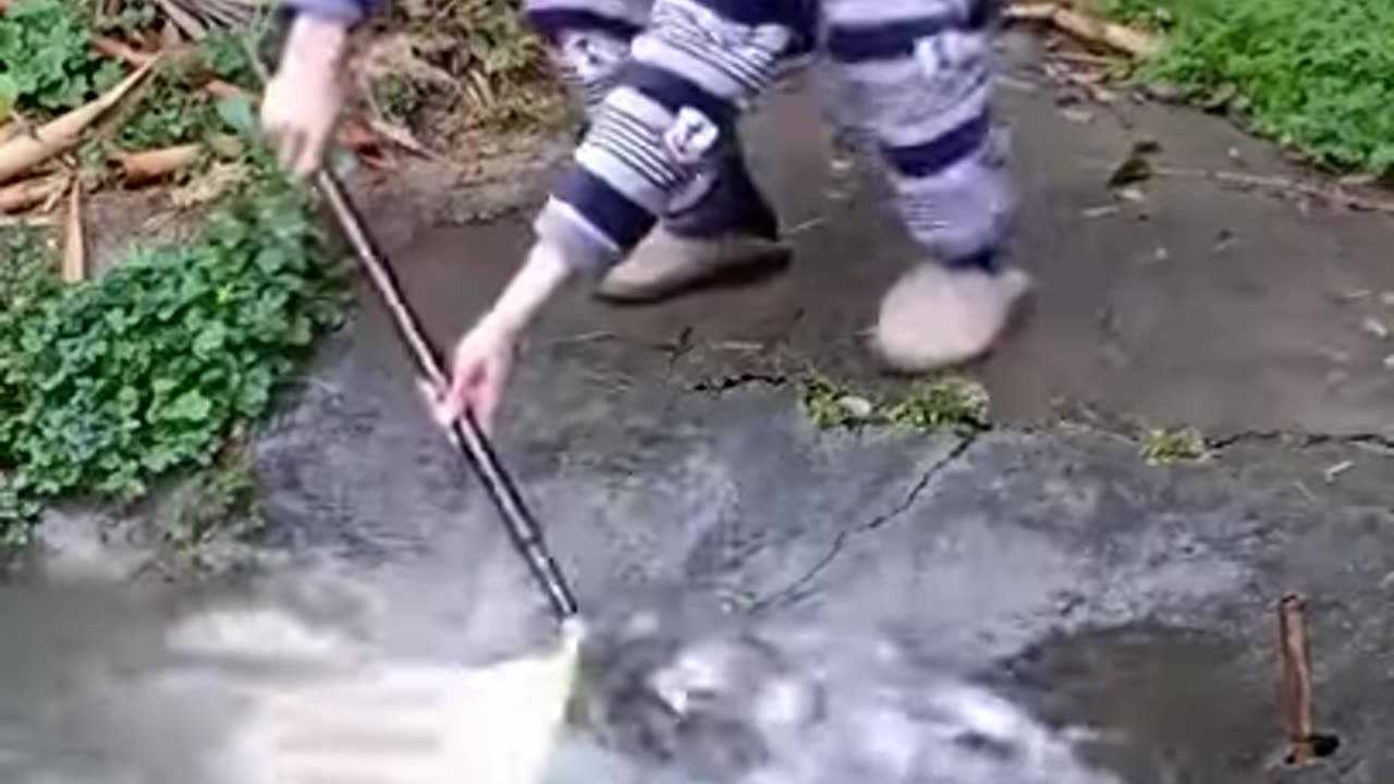 Pond fishing