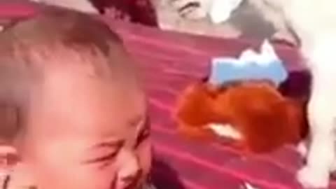 Funny baby short vedio