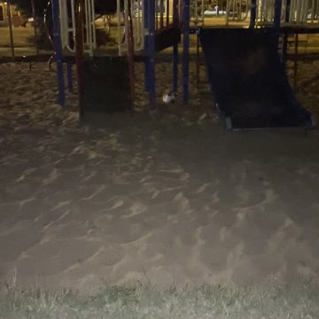 A cat in a playground at night