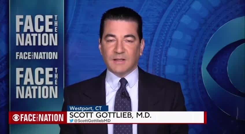 Pfizer's Dr. Gottlieb Criticizes Gov. DeSantis for Discouraging Vaccination of Children