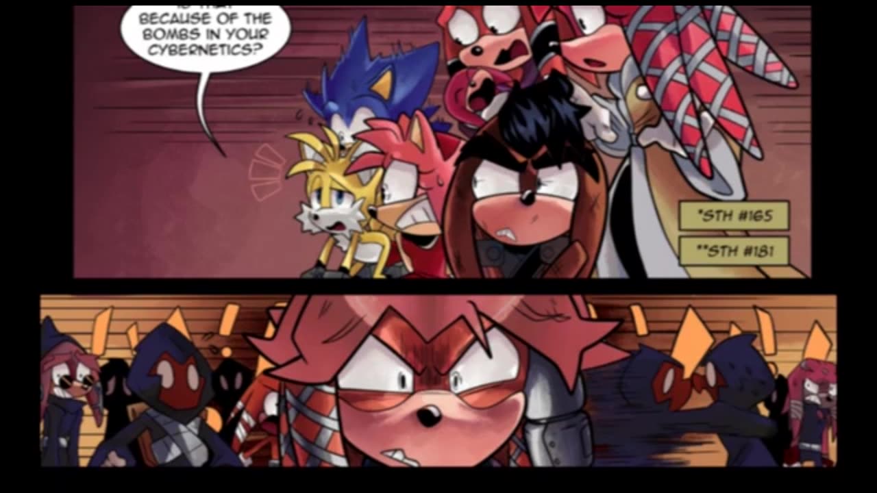 Newbie's Perspective Sonic Comic Issue 244 Review