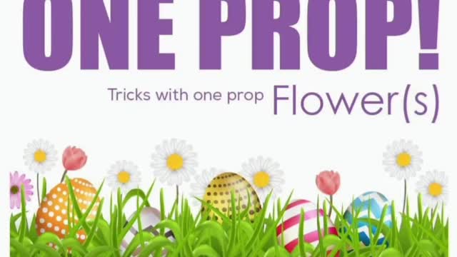 TINDRAH One Prop 20:1 Flower(s)