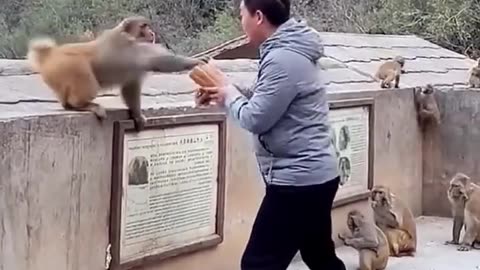 Funny movement