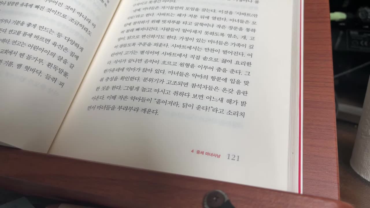 비이성의 세계사,정찬일,중세마녀사냥, 잔다르크, 샤를7세, 영국, 프랑스, 백년전쟁,소작농,성경,교황,알비,인노켄티우스3세,이단,이탈리아,에스파냐,토마스아퀴나스, 기독교집단, 화형